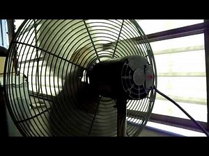(----) Dayton 3C217B 24'' Industrial Fan