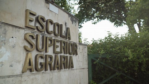 28K views · 350 reactions | Hoje planeávamos abrir-te as nossas portas!... Na expectativa de que o dia em que poderás ficar a conhecer pessoalmente tudo o que a ESAC faz e o vasto leque de oportunidades que tem para ti chegue rápido, apresentamos-te, para já, a nossa Escola em vídeo. Até breve!‍♀️‍♂️ | Escola Superior Agrária de Coimbra (ESAC - IPC) | Facebook