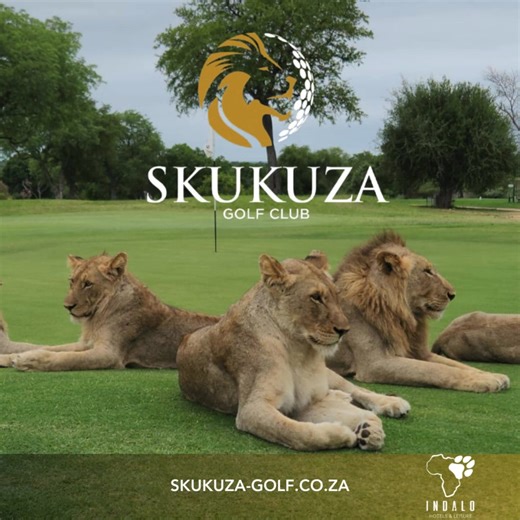 10K views · 181 reactions | ⛳ Nature and Golf in Perfect Harmony ⛳...