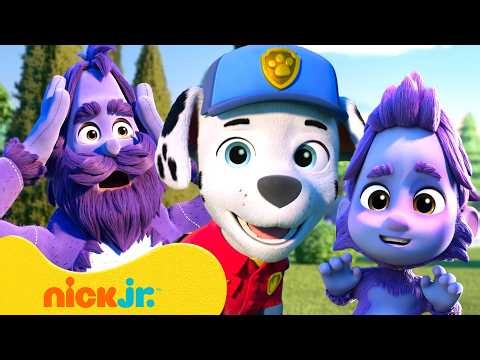 PAW Patrol Pups Save a Humsquatch! w/ Mayor Humdinger | Nick Jr.