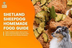 Homemade Food For Shetland Sheepdogs: Recipes & Cooking Guide - Canine Bible