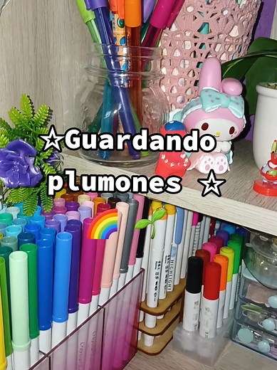 Organización ASMR: Guardando Plumones en el Escritorio