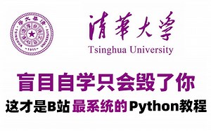 【整整600集】清华大学196小时讲完的Python教程（数据分析）零基础入门到精通全套教程，全程干货无废话，这还学不会，我退出IT界！数据挖掘-数据可视化
