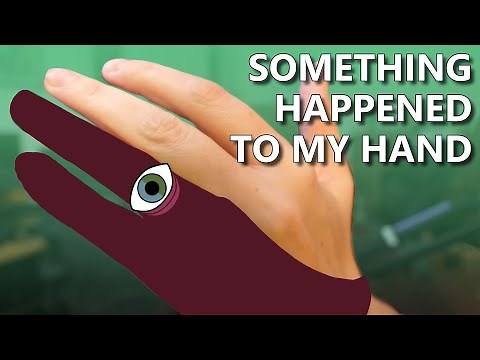 Simulating the Sheltering of Animals in ANIMAL SHELTER SIMULATOR