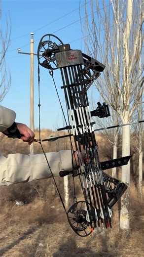 Composite bow from China. If you like it, you can contact me.#compoundbow #archery #compound