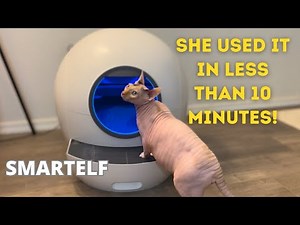 Make cleaning the litter box automatic with SMARTELF - the smart and simple solution