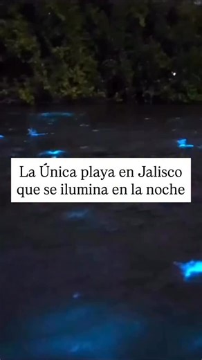 📍Chamela Jalisco #jalisco #jaliscomexico #jaliscoesmexico #méxico #mexico🇲🇽 | Jupiter Alonso Osoria