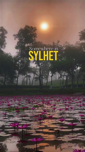 Discover the Beauty of Sylhet Region in Bangladesh