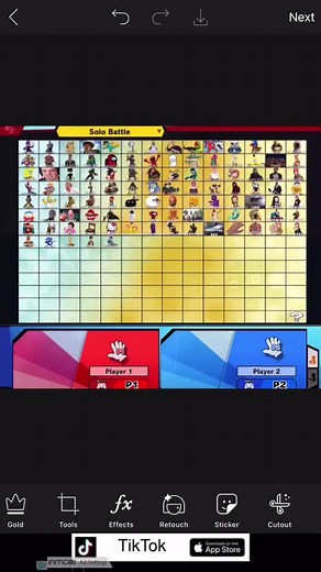 Guy who do smash bros roster on TikTok