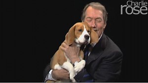 70K views · 1.2K reactions | Just in time for the Westminster Kennel Club Dog Show today, a compilation of Charlie enjoying some of his furriest guests over the years. | Charlie Rose | Facebook