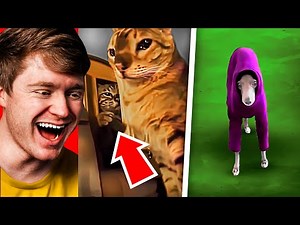 Try Not to Laugh but its SUPER HARD! (Challenge)