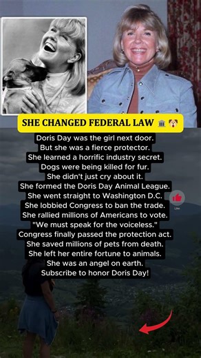 How Doris Day changed the law... 🏛️🐶 #Shorts #respect #movie #news #kindness #motivation #viral