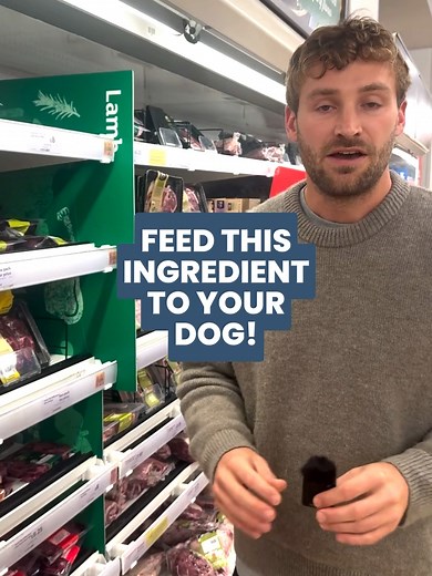 You guys really need to get liver into your dog's diet. It's super healthy and relatively cheap. If you want to know quantities, check out my recipe e-book. Cam