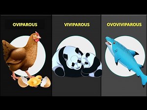 Oviparous and Viviparous Animals | Reproduction in Animals | Biology | Grade 8| Telangana