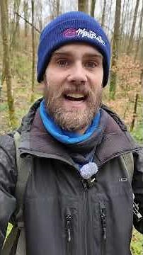 Successfully harvesting morels in 2026 #Morel #Mushrooms #Morel