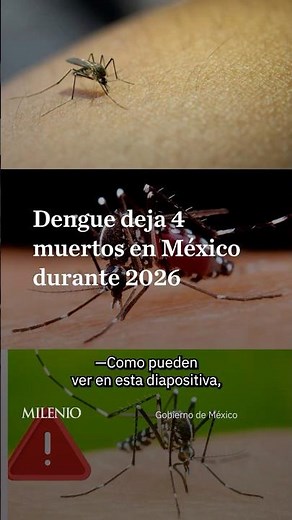 Health Department reports 4 deaths from dengue and more than 2 thousand cases in Mexico during 2026