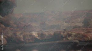 pork steak on the grill on BBQ background. Slow motion