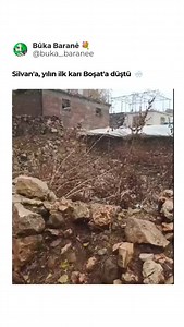 Bûka Baranê🕊️ on Instagram: "Boşat yine şaşırtmadı. 🌨️😅"