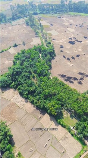 dji mini 3 drone camera Cinematic shot #shorts #drone #djimini3 #reels #fps #fpyシ #sehar #dji