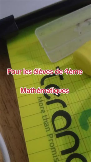 Mathématiques pour les élèves de 4ème : Un chat vecteur