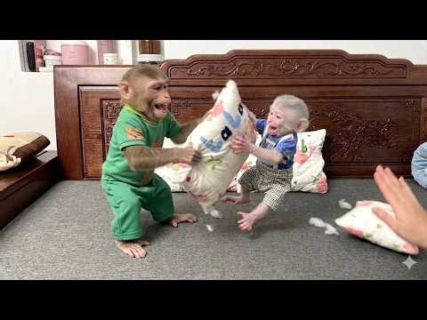 Mommy's Surprise Gift for Obedient Baby Monkey Lala!