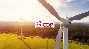 Companies Disclosing Climate Transition Plans Up Nearly 50%: CDP Report