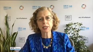 5.5K views · 29 reactions | The United Nations Intergovernmental Panel on Climate Change has issued what has been described by its Chairman Hoesung Lee as a dire warning about the consequences of inaction. | More: bit.ly/3BZEEKC | RTÉ News | Facebook