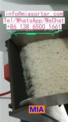 Turnkey Color Sorter Production Solution and Training India Turkey Egypt