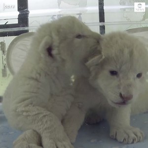 2.7M views · 53K reactions | NEW ARRIVALS: Adorable newborn rare...