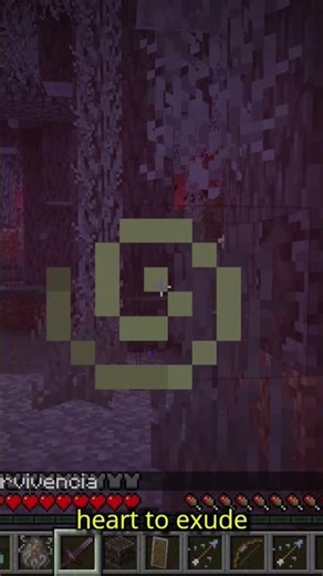 Did You Know? || Fun Facts About Crackling in Minecraft.