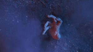 Zombie Hand Emerges Ground Stock Footage Video (100% Royalty-free) 3610602419 | Shutterstock