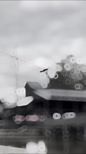 5.7K views · 18 reactions | CRAZY Swing Ride! Skyhawk at Cedar Point #cedarpoint #fyp #skyhawk #thrillride #reelsvideo #reels #fun | Carowinds Fans Only | Facebook