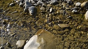Creek with clear running water. The flow of water, twice delayed shooting