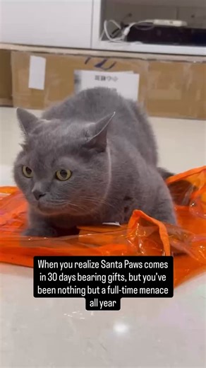 Modern cat furniture that belongs in a design magazine. HÄDDEN turns a scratchboard into a design object your cat will actually use. 🐱 See the details at hadden.store #HADDEN #NYC#HADDEN #SisalScratchRug #CatScratchMat #EcoFriendlyCat #CatFurniture #ModernPetDesign #NYCDesign #CatParents #CatMomLife #CatDadLife #SustainableHome #ClawCare #SaveTheSofa #MinimalistDecor #PetStartup #ShopSmallBusiness | Hädden Pet Store