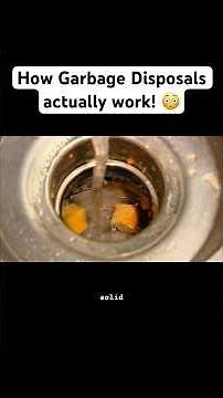 How Garbage Disposals actually work! 😳 #garbagedisposal #sink #garbage