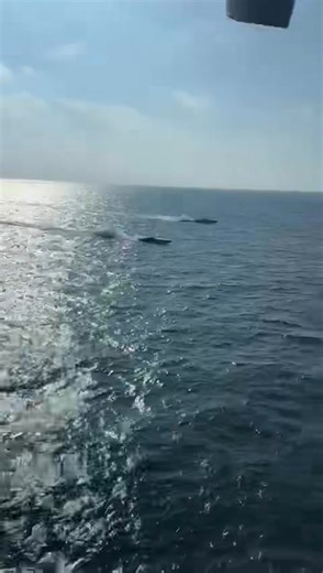 4.4K views · 11 reactions | Fountain Powerboats on Reels | Facebook