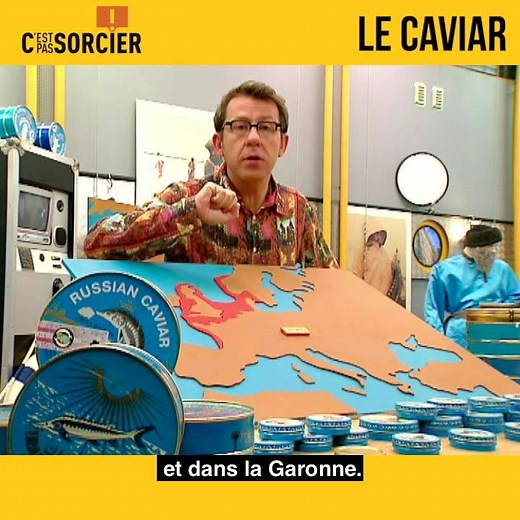 C'est pas sorcier, c'est un peu le caviar de la vulgarisation scientifique ! Mais comment produit-on le caviar ? | C'est pas sorcier