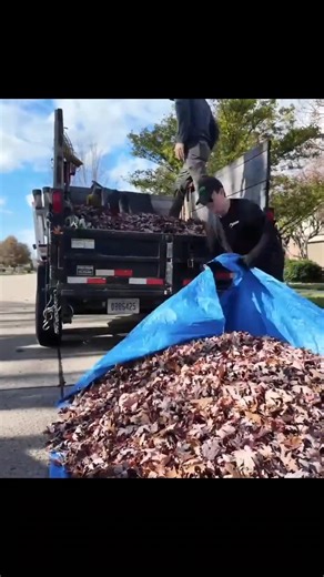 10K views · 44 reactions | The Fall Cleanup grind is officially on! ...