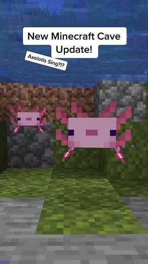 Discover the Adorable Axolotls in the Minecraft 1.17 Caves and Cliffs Update!