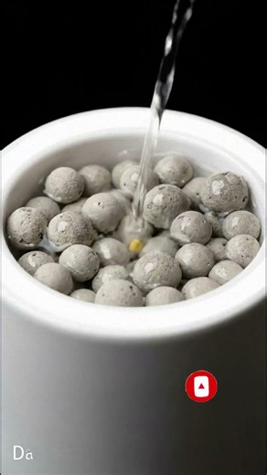 160 Days in 32 Seconds — Strawberry Time-Lapse 🍓 | Seed to Fruit