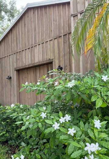 Rustic Barn Wedding Celebrations: A Dream Come True