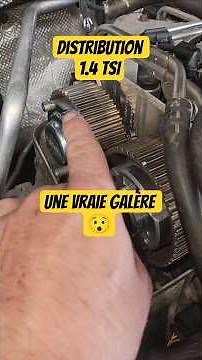 VW 1.4 TSI Timing Belt: Don't Be in a Hurry 😆 #volkswagen #audi #tsi