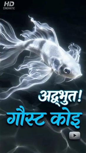 Dhuen jaisi nazaqat, pani jaisi ravaani. Nature’s true magic. 🐟🤍"​Short & Bold: "Nature in slow