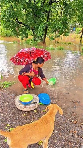 cute dog #doglover#puppy #labrador #shortvideo #