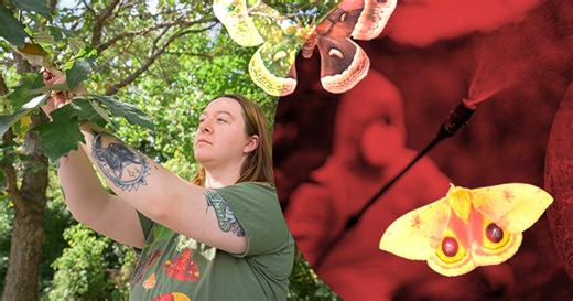 The moth defender | UDaily