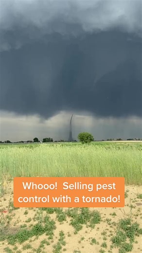 The Backyardigans Tornado News - MACscaraface