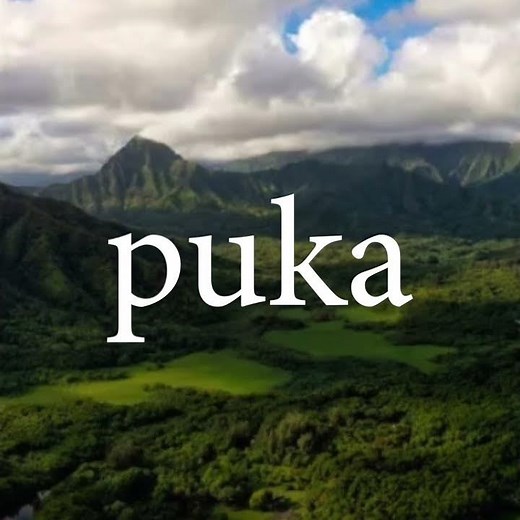 Hawaiian Word of the Week: Puka