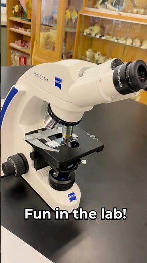 A Day in the Life at MacEwan