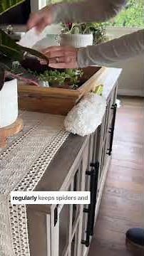 DUSTING Tutorial - Dusting – Not Fun, But Necessary!