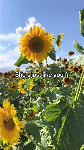 No one ever tells you enough, but youre actually perfect the... #Shorts #smartprettyfunny